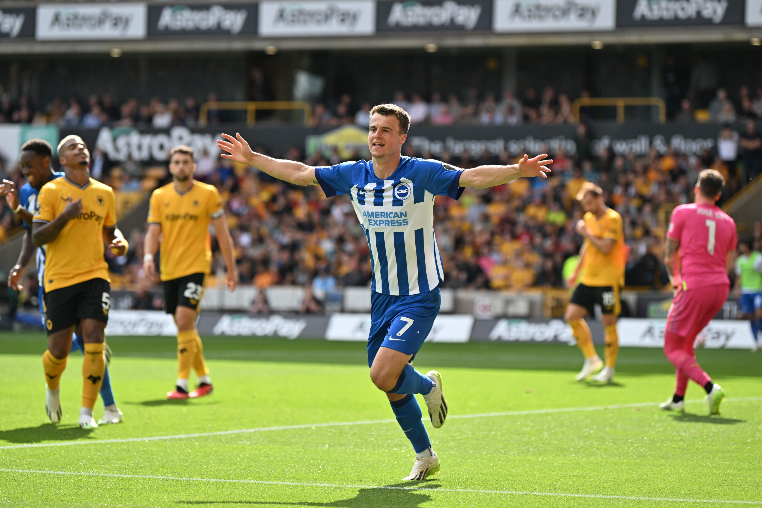 Solly March celebrating after scoring goal against wolves